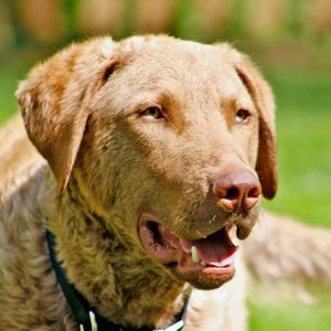 Meet your Posher, Jan